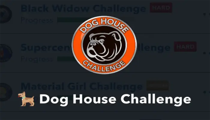 Dog house challenge 5