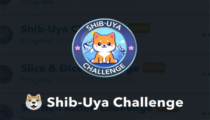 shib-uya challenge 1