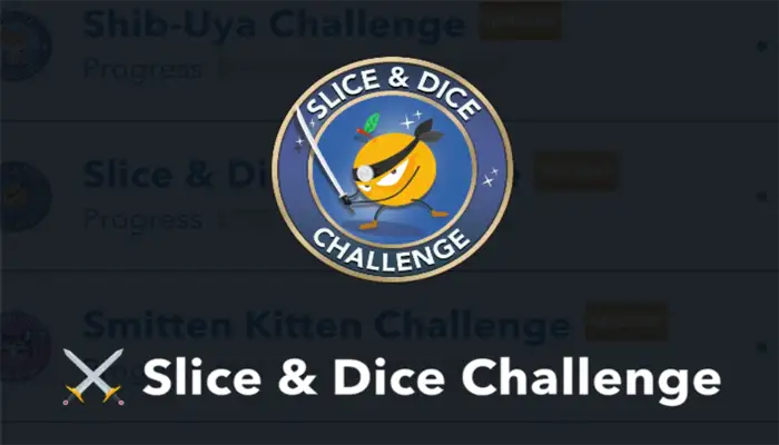 slice & dice challenge 1