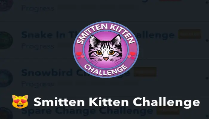 smitten kitten challenge 1