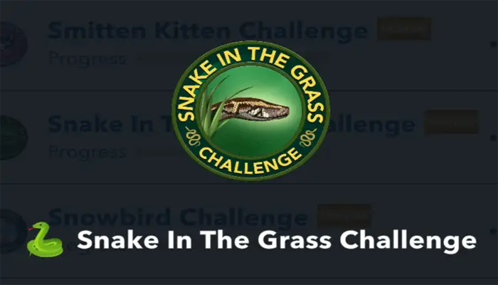 snake in the grass challenge 1