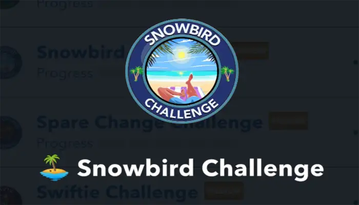 snowbird challenge 1